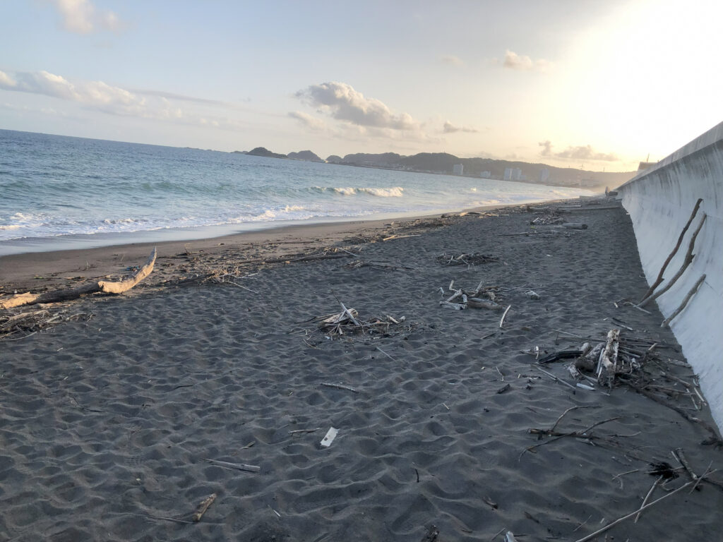 外房海,勝浦,鴨川,浜辺,海,流木,