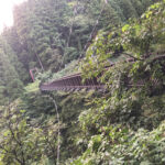 宇奈月温泉,吊り橋,富山県,