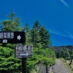 空,青,雲,晴れ,飛行機雲, 爽やか,広がり,空気,