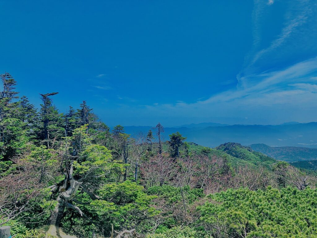 空,青,雲,晴れ,