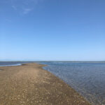 【縦写真】野付半島,トドワラ,別海町,