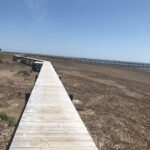 野付半島,トドワラ,