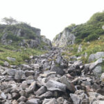 カール,高山植物,駒ヶ根高原,