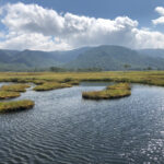 尾瀬国立公園,池,沼,湧き水,