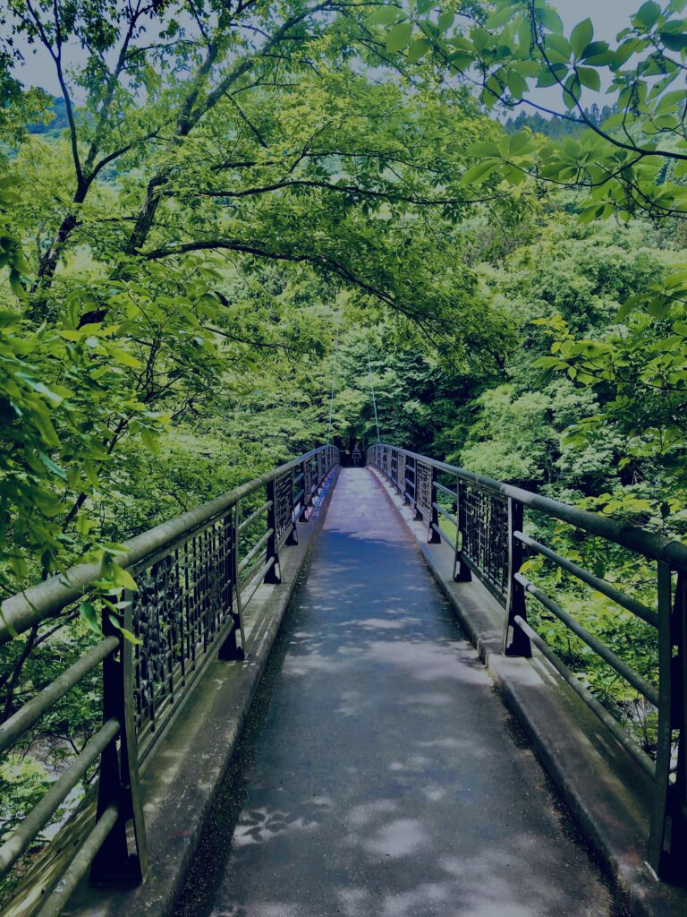 吹割渓,吹割瀑,片品川,吹割の滝,