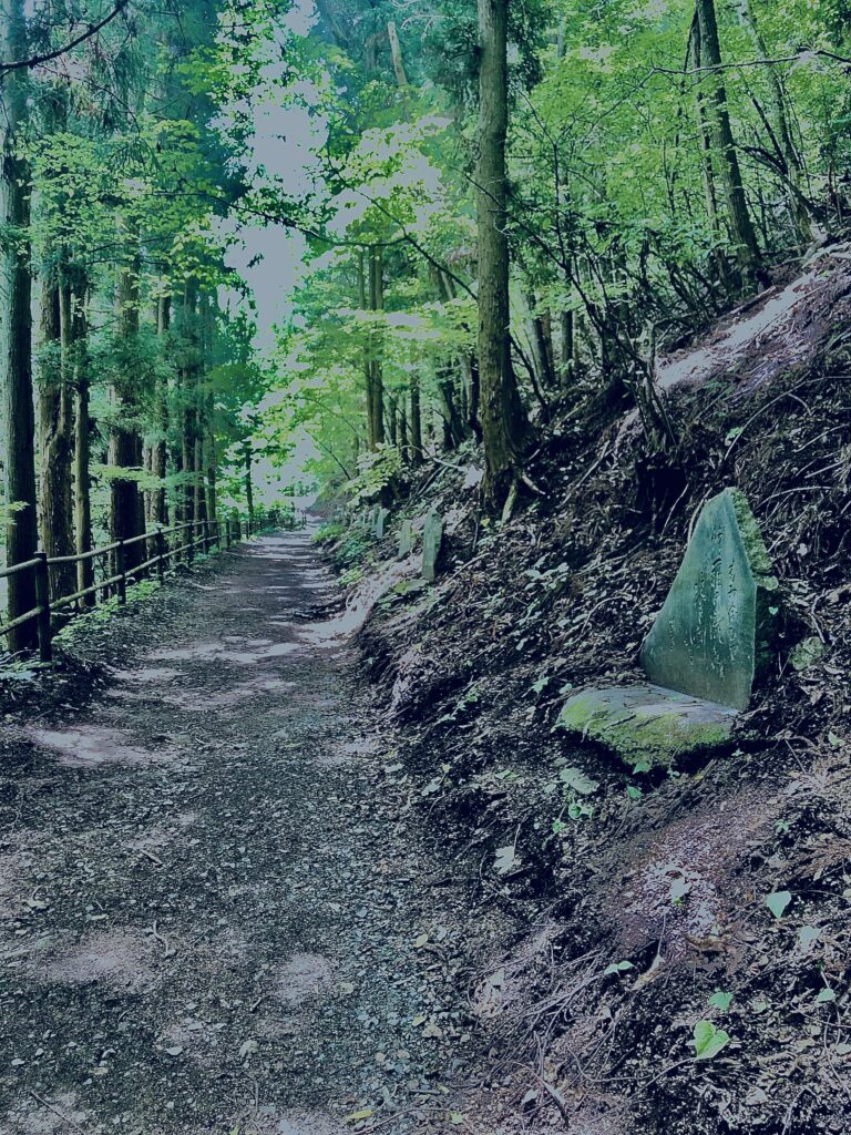 吹割渓,吹割瀑,片品川,吹割の滝,