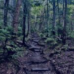 登山,日光白根山,