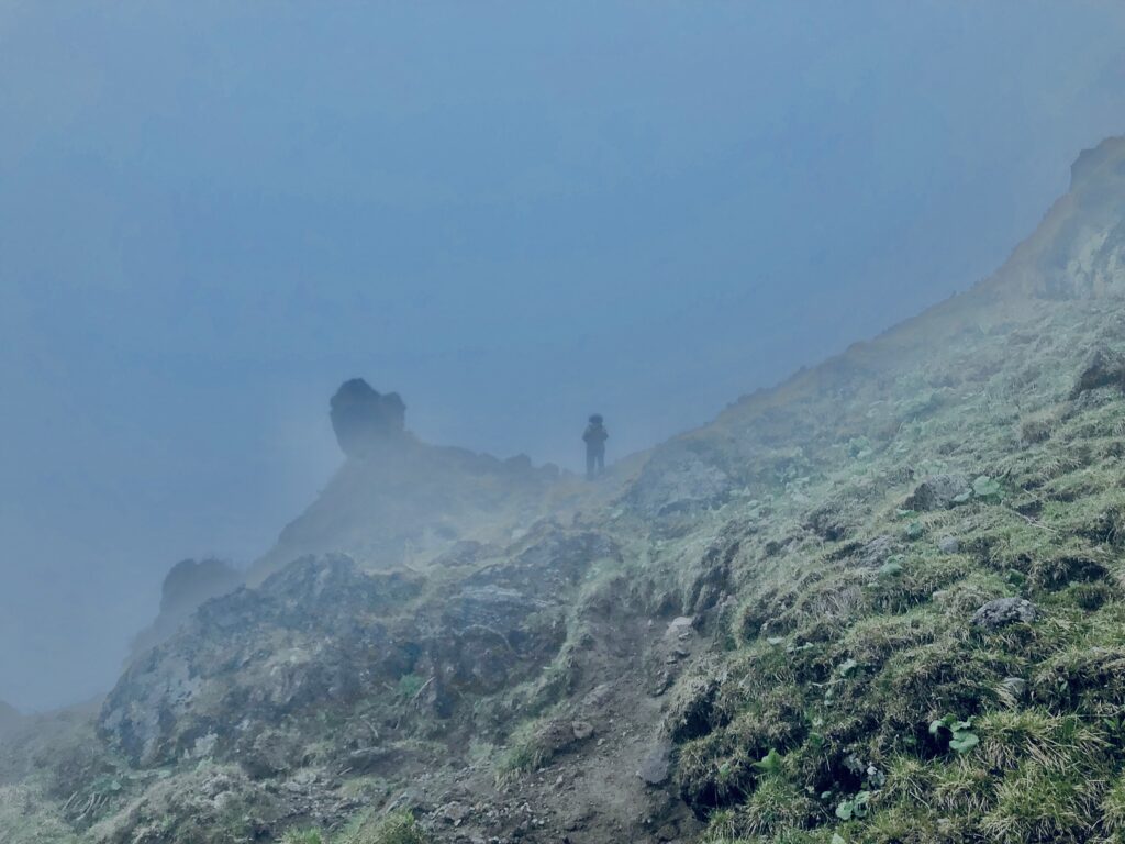 森林限界,日光白根山,