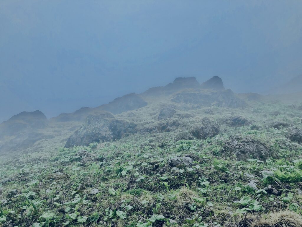 森林限界,日光白根山,