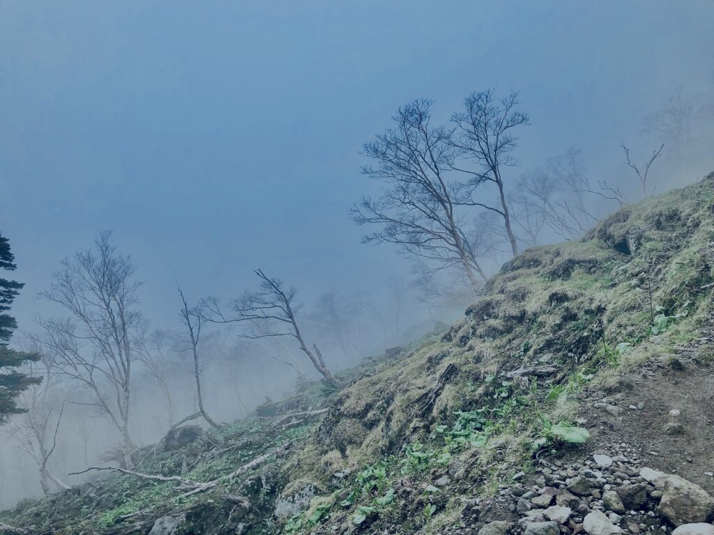 森林限界,日光白根山,