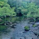 湯ノ湖,湯元温泉,奥日光,