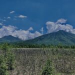 戦場ヶ原,三本松,