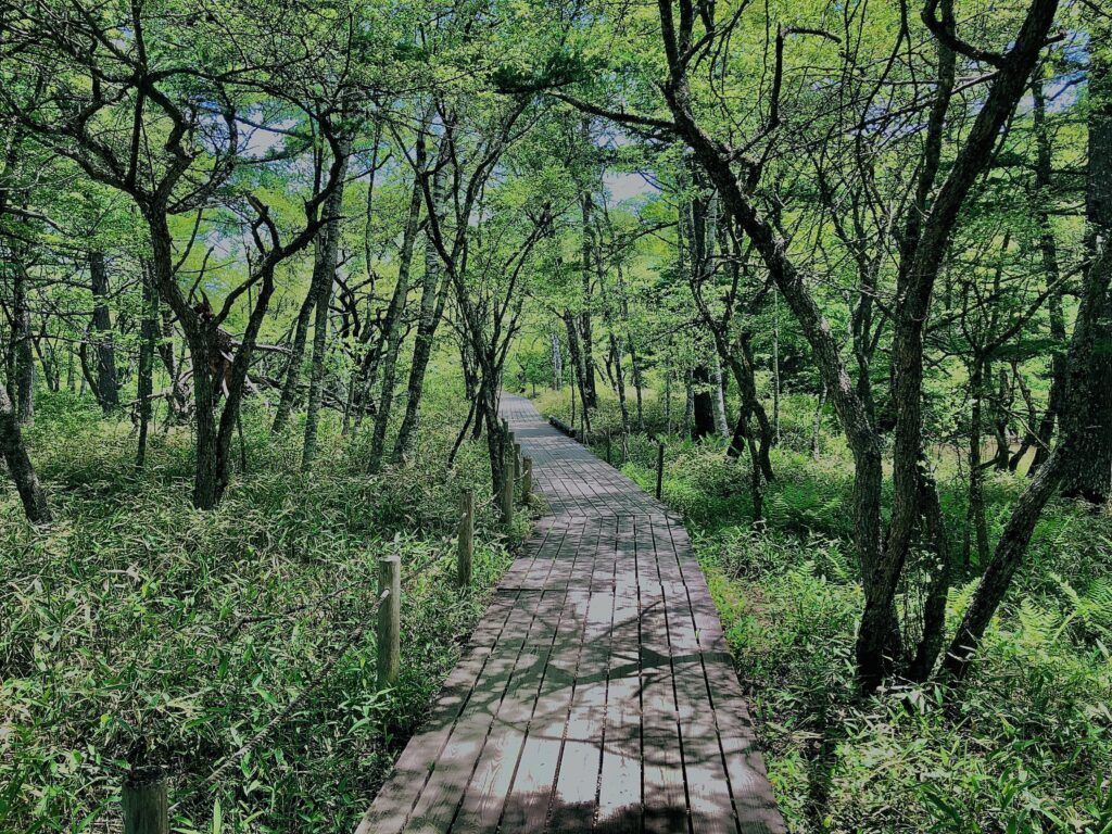 湯ノ湖,湯川,