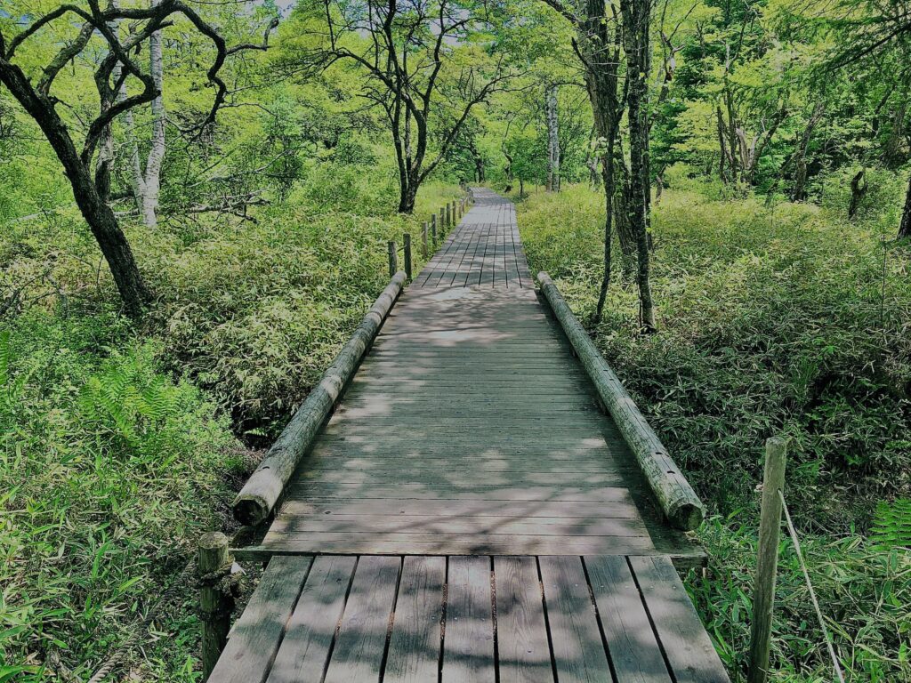 湯ノ湖,湯川,