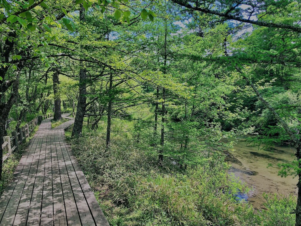 湯ノ湖,湯川,