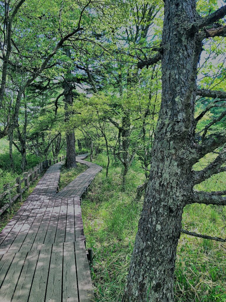 湯ノ湖,湯川,