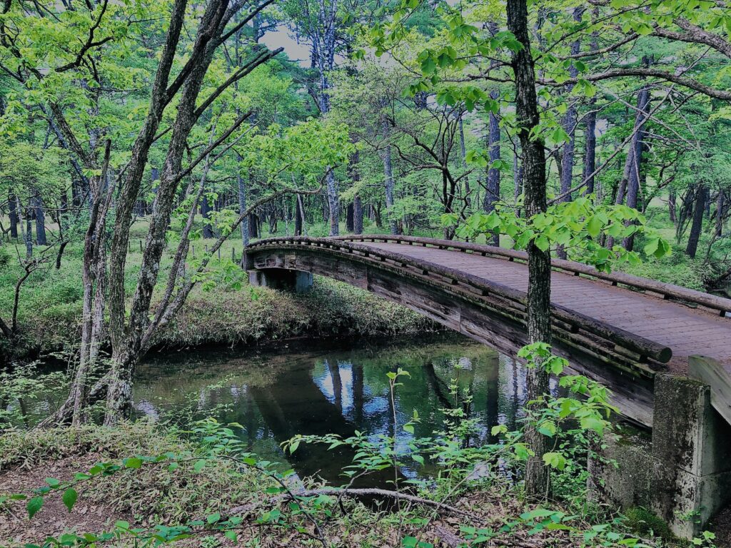 湯ノ湖,湯川,