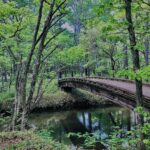 湯ノ湖,湯川,