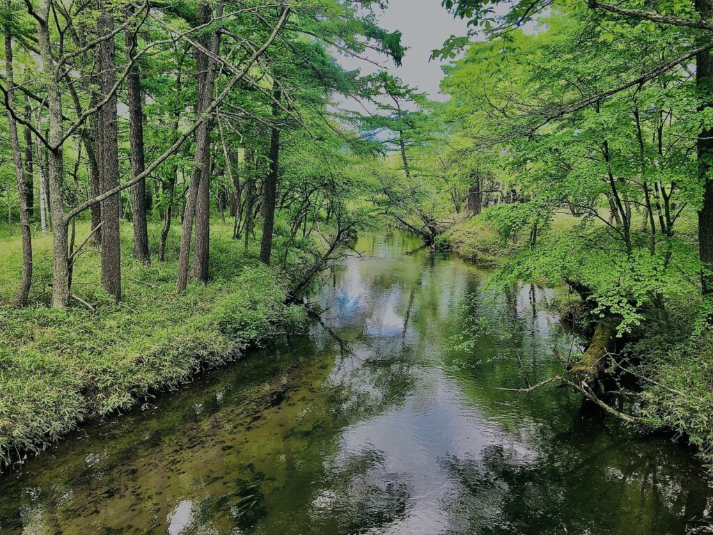 湯ノ湖,湯川,