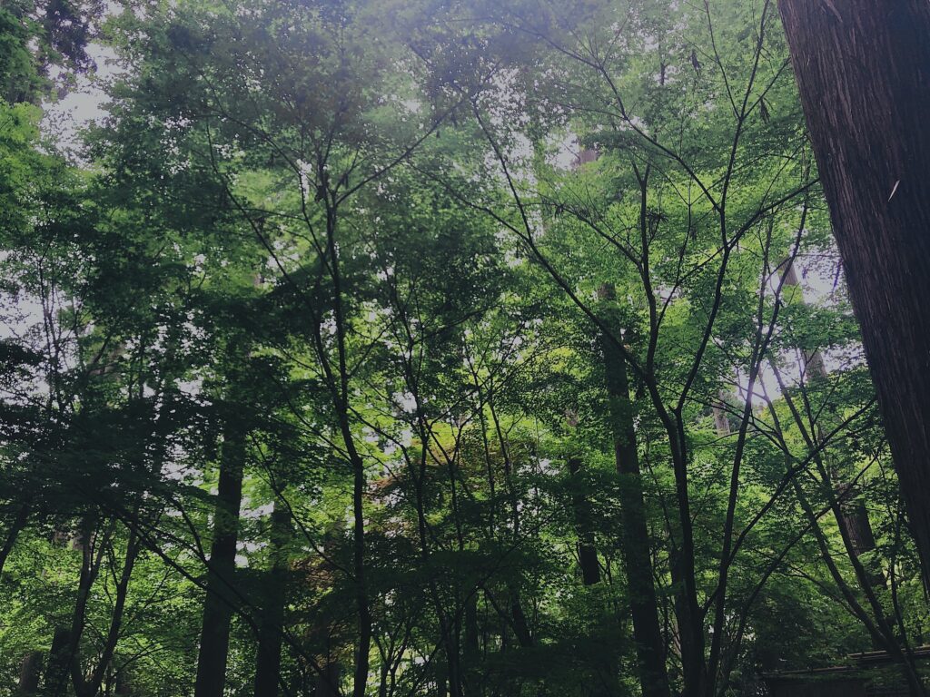 日本三景,松島,