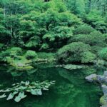 日本三景,松島,