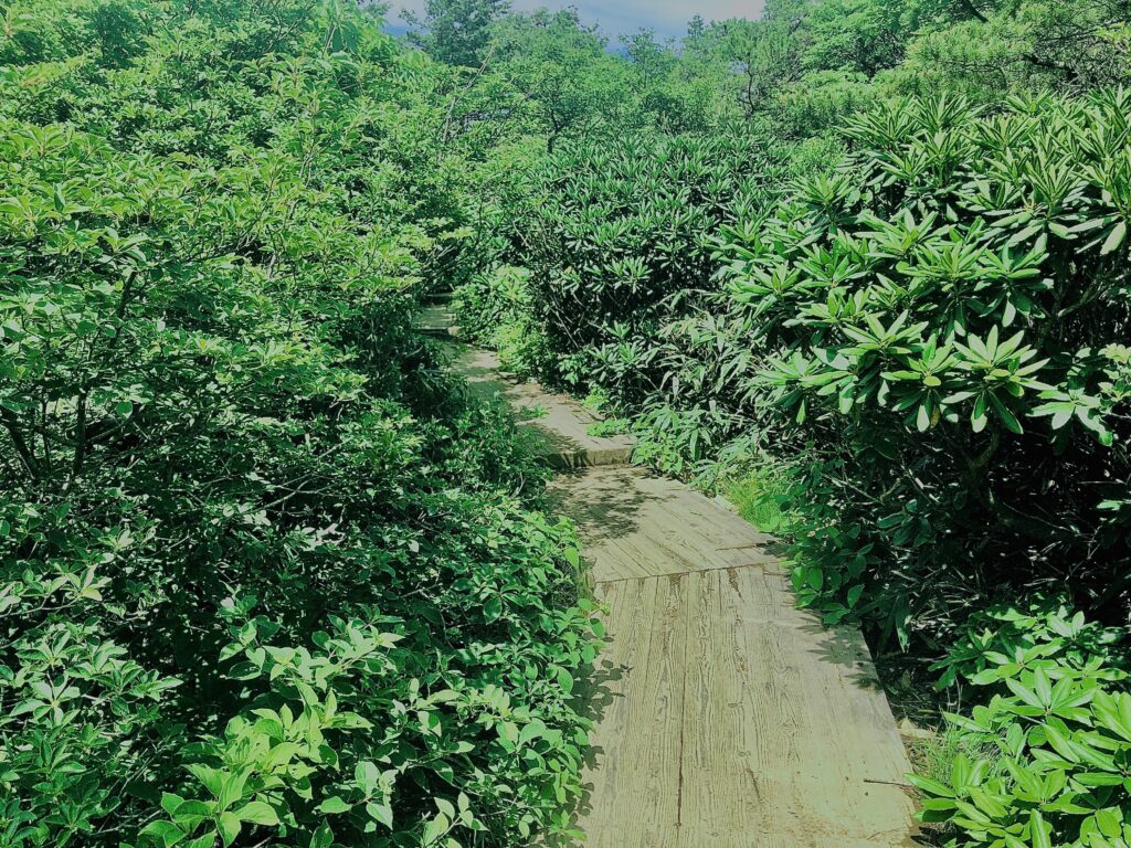 安達太良山,日本百名山,