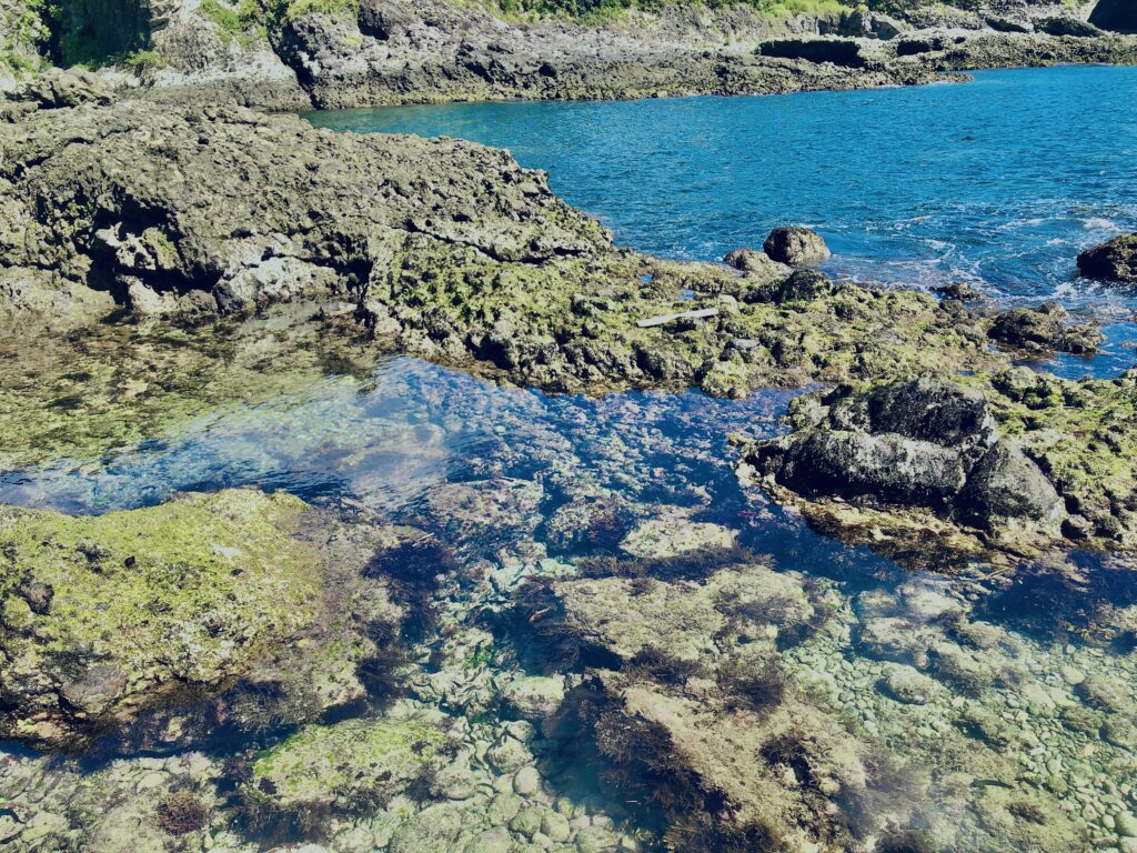 タライ岬遊歩道,田牛,南伊豆,