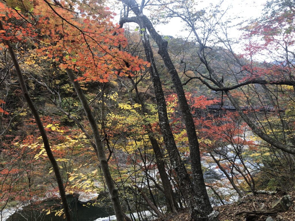 龍王峡,渓谷,