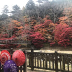 那須塩原,紅の吊橋,くれないのつりばし,