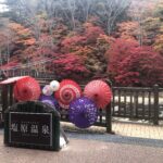 那須塩原,紅の吊橋,くれないのつりばし,