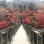 那須塩原,紅の吊橋,くれないのつりばし,