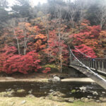 那須塩原,紅の吊橋,くれないのつりばし,