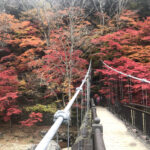 那須塩原,紅の吊橋,くれないのつりばし,