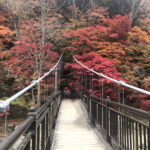 那須塩原,紅の吊橋,くれないのつりばし,