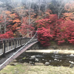 那須塩原,紅の吊橋,くれないのつりばし,