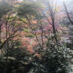 御岳山,紅葉,