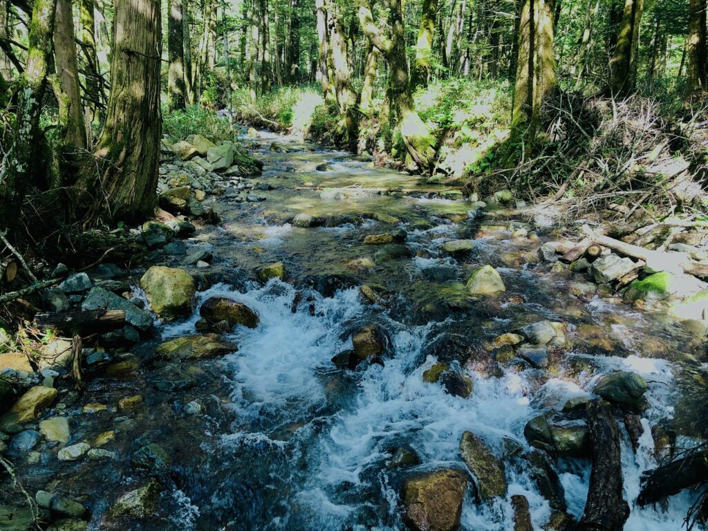 上高地,