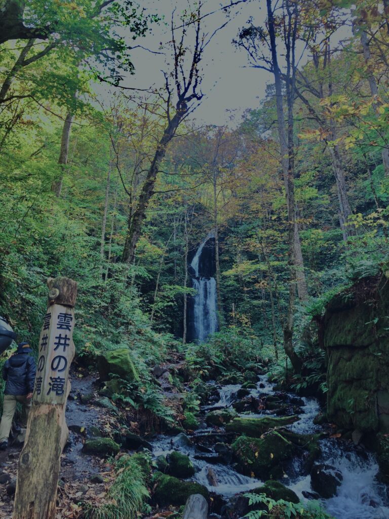 奥入瀬渓流,苔の三大聖地,