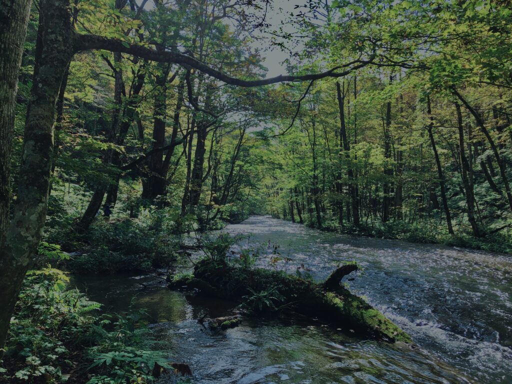 奥入瀬渓流,青森県十和田市,