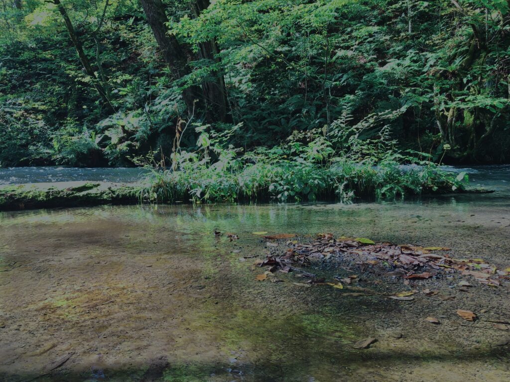 奥入瀬渓流,青森県十和田市,