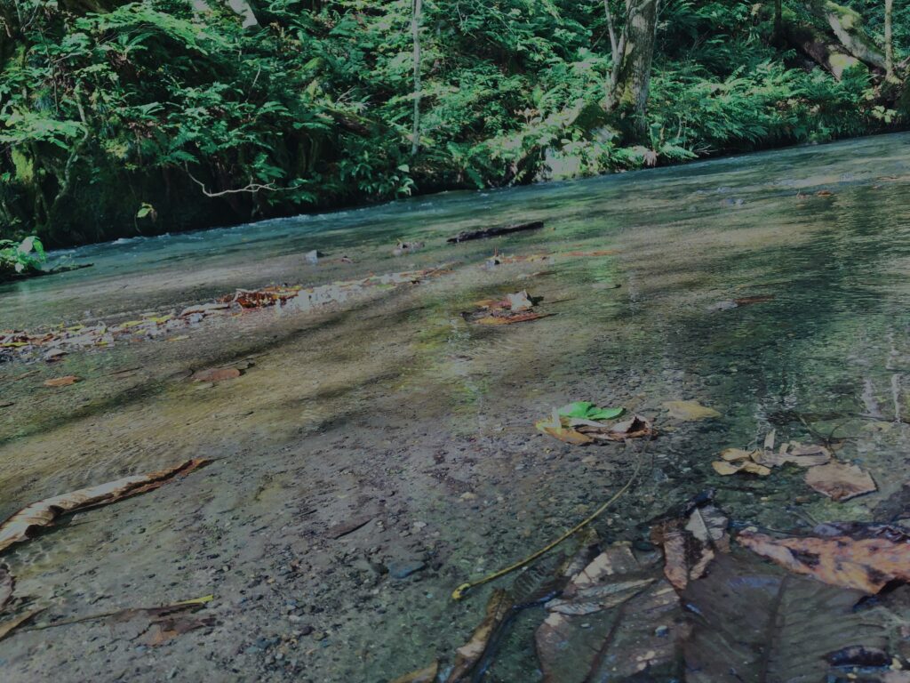 奥入瀬渓流,青森県十和田市,