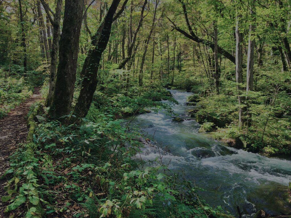 奥入瀬渓流,青森県十和田市,