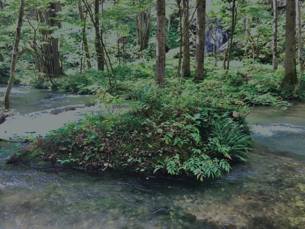 奥入瀬渓流,青森県十和田市,