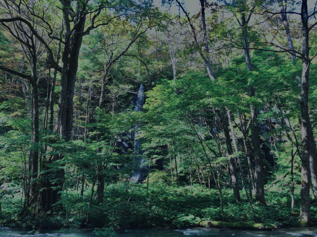 奥入瀬渓流,青森県十和田市,