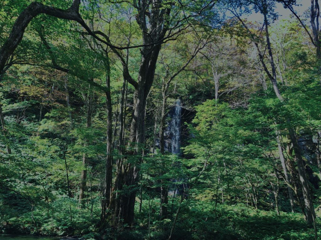 奥入瀬渓流,青森県十和田市,