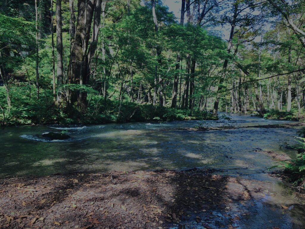 奥入瀬渓流,青森県十和田市,