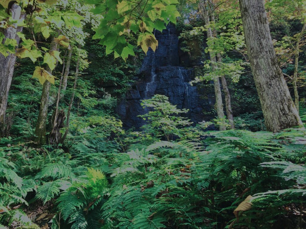 奥入瀬渓流,青森県十和田市,