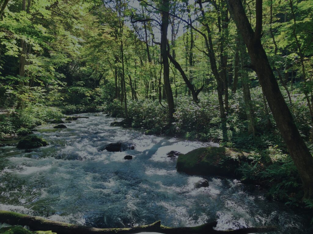 奥入瀬渓流,青森県十和田市,