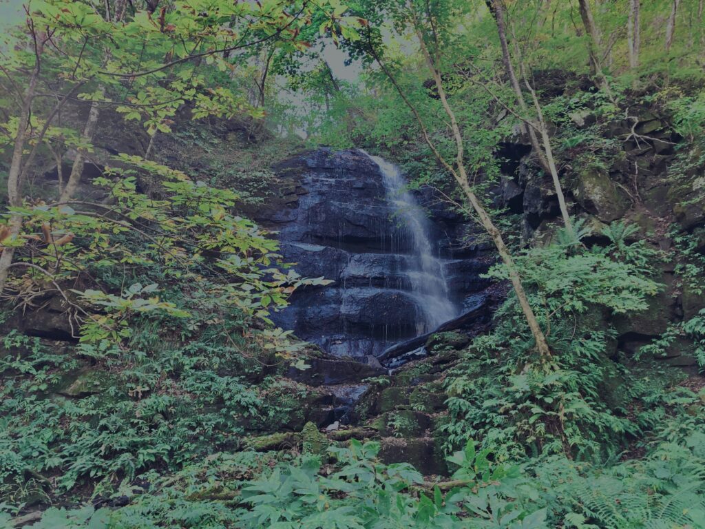 奥入瀬渓流,青森県十和田市,