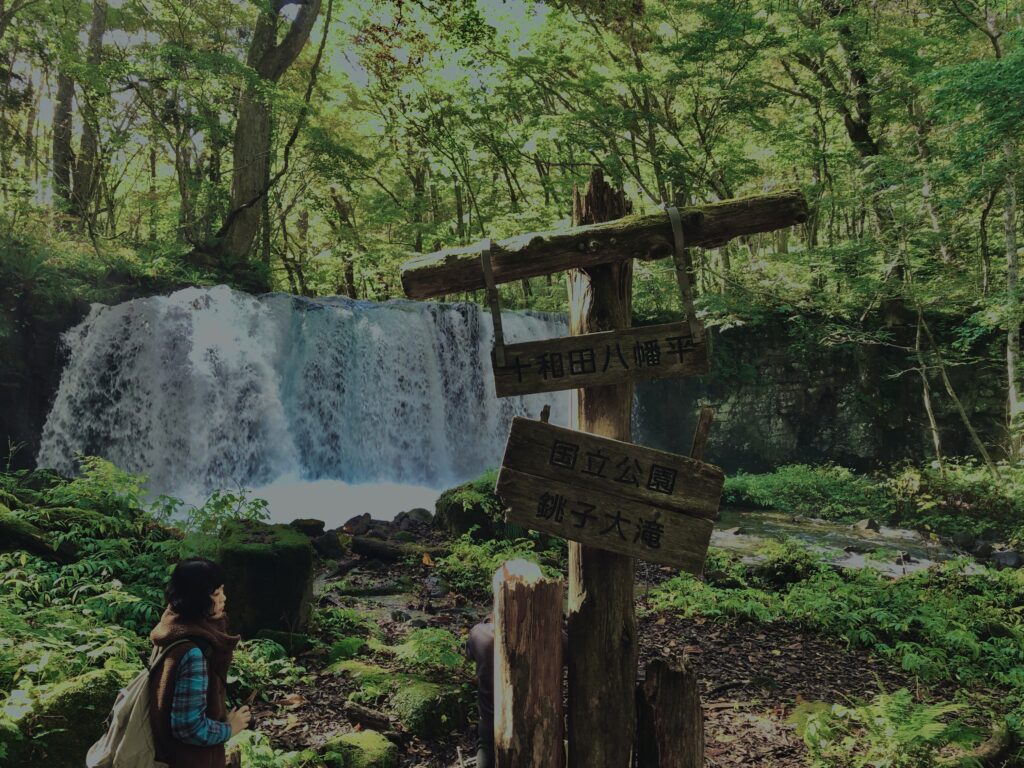 奥入瀬渓流,青森県十和田市,